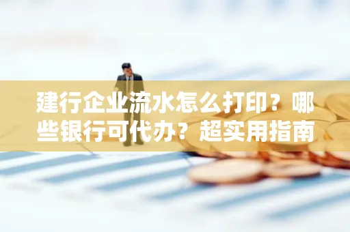 建行企业流水怎么打印?哪些银行可代办?超实用指南来了!