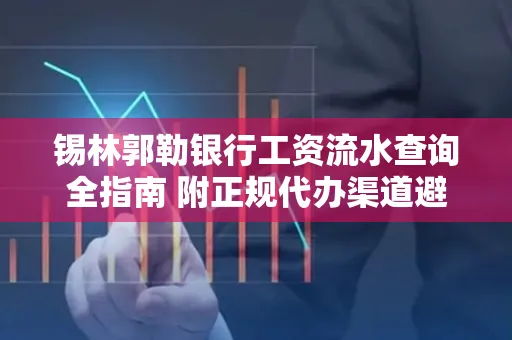 锡林郭勒银行工资流水查询全指南 附正规代办渠道避坑