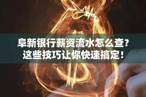 阜新银行薪资流水怎么查?这些技巧让你快速搞定!