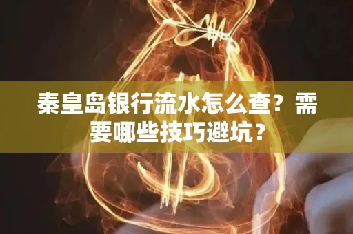 秦皇岛银行流水怎么查?需要哪些技巧避坑? 秦皇岛银行流水怎么查?需要哪些技巧避坑?
