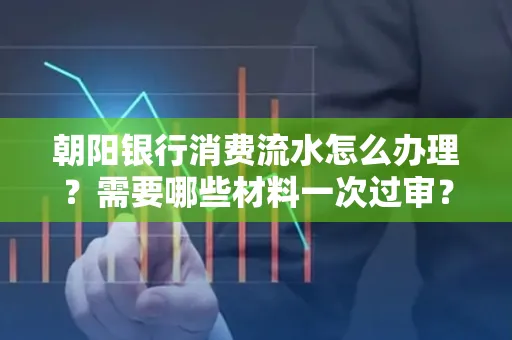 朝阳银行消费流水怎么办理？需要哪些材料一次过审？